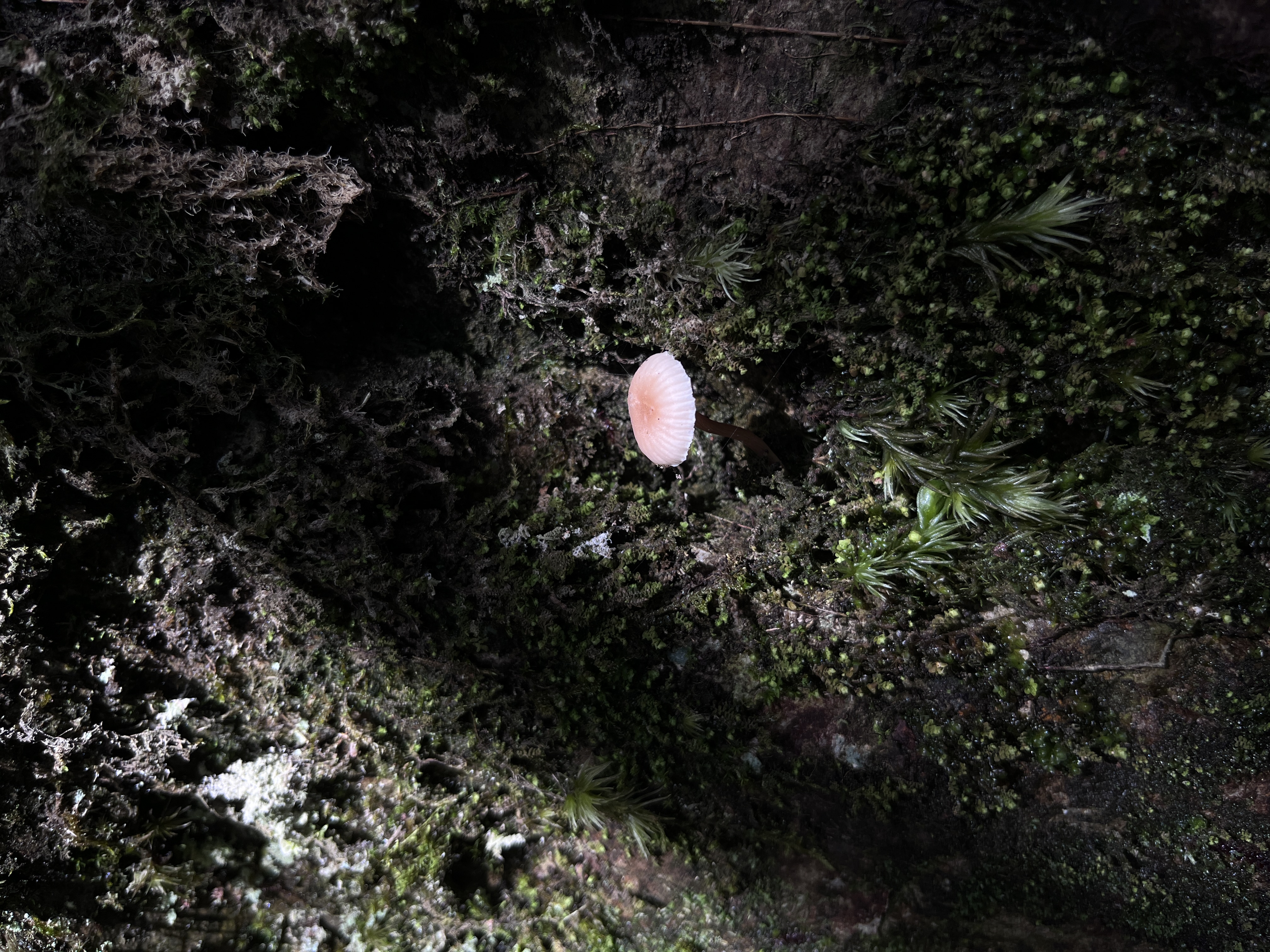 微信图片_202305101426507