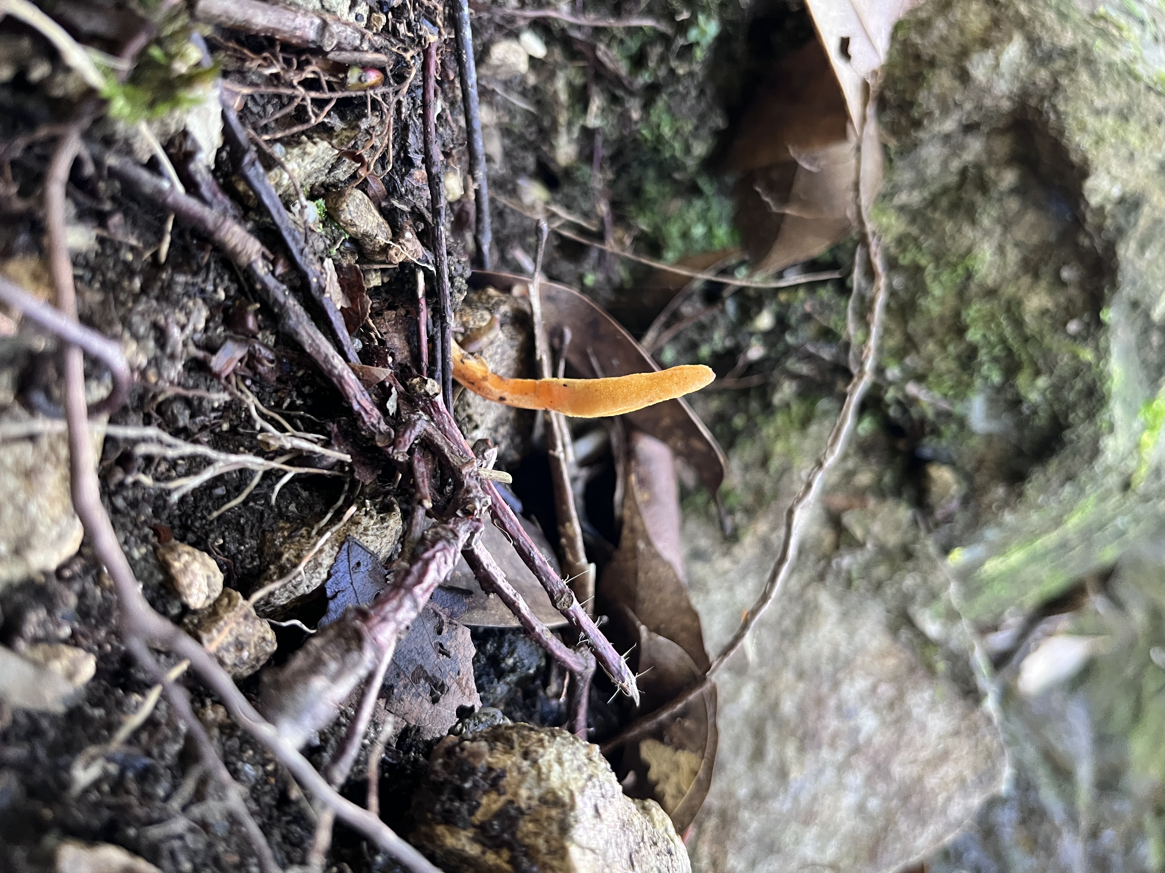 微信图片_2023051014265010