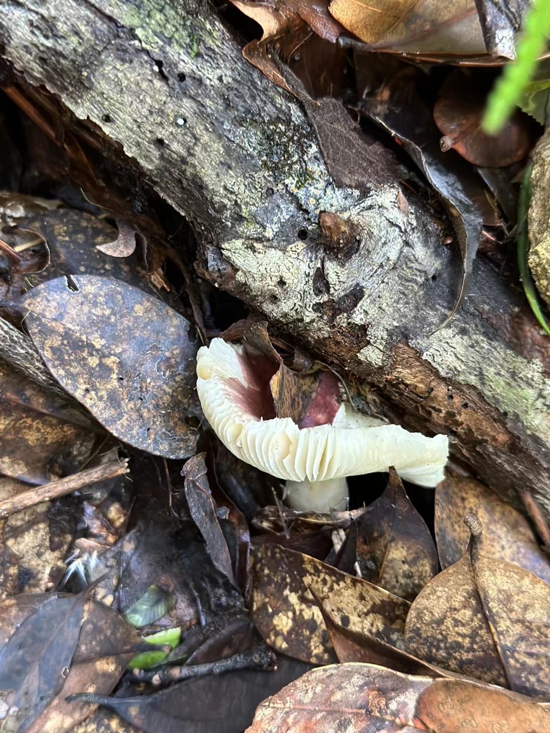 微信图片_202305101426501