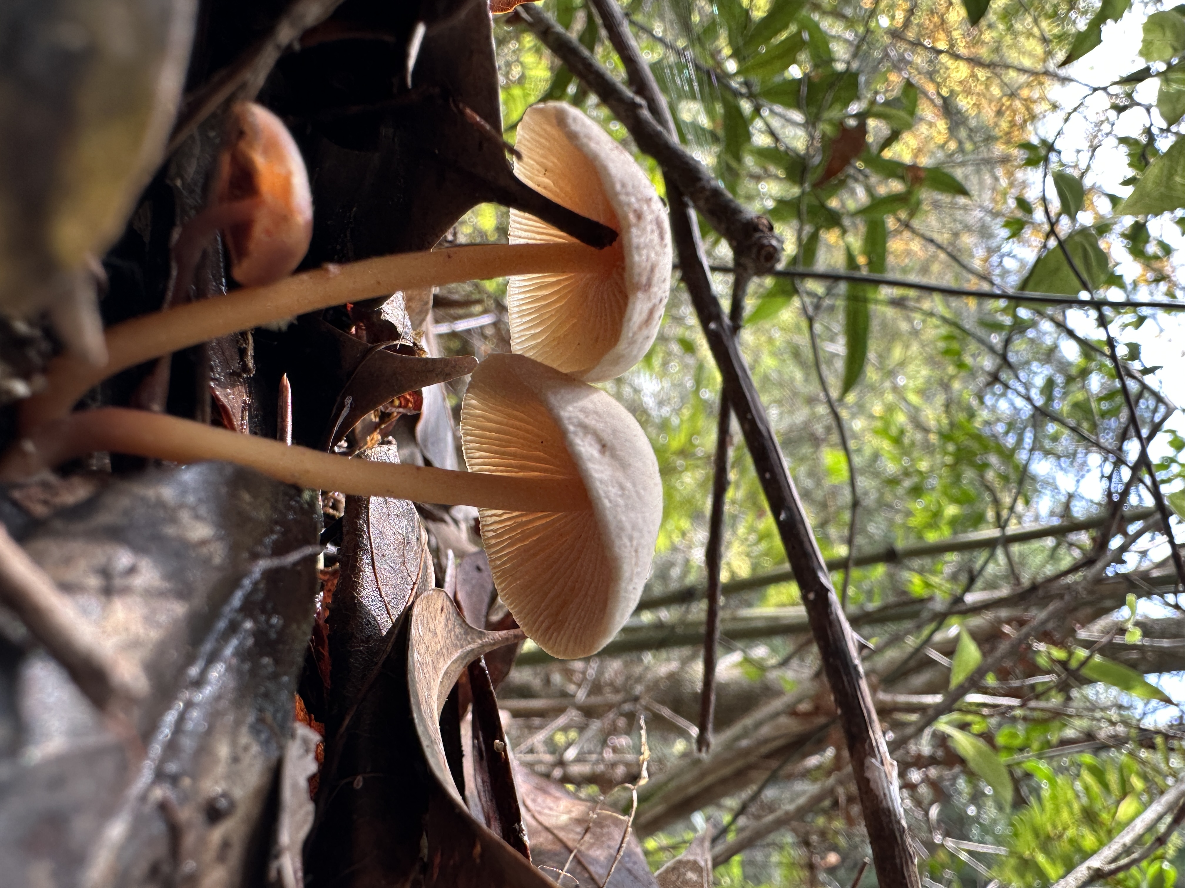 微信图片_202305101426502