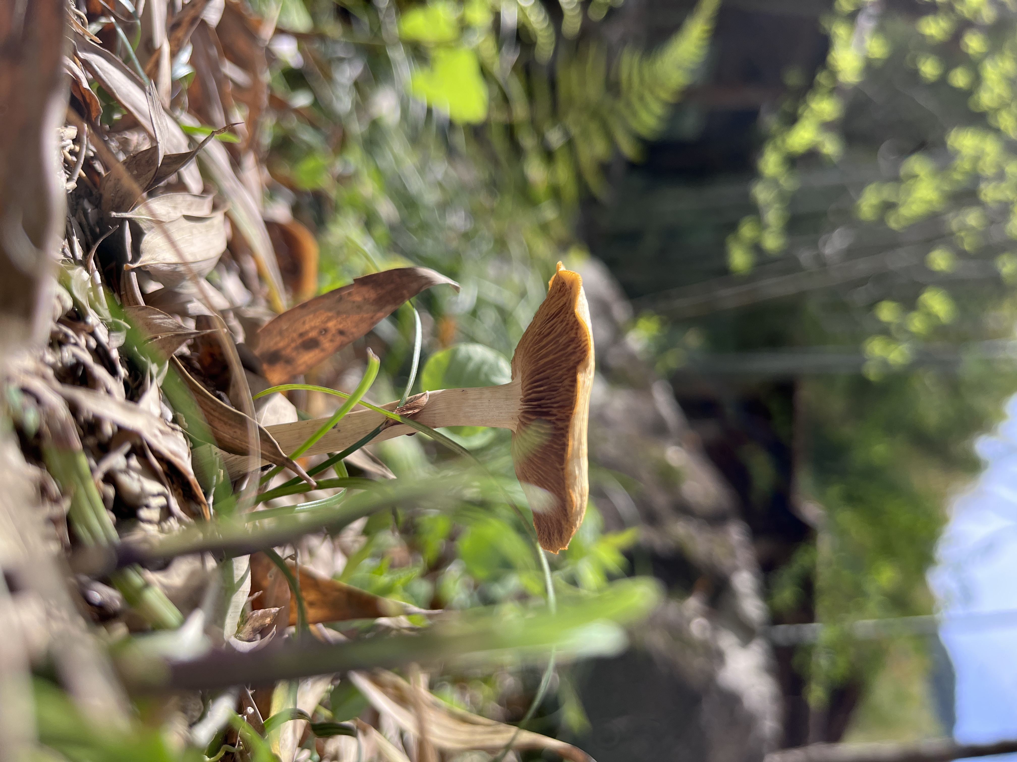 微信图片_202305101426503