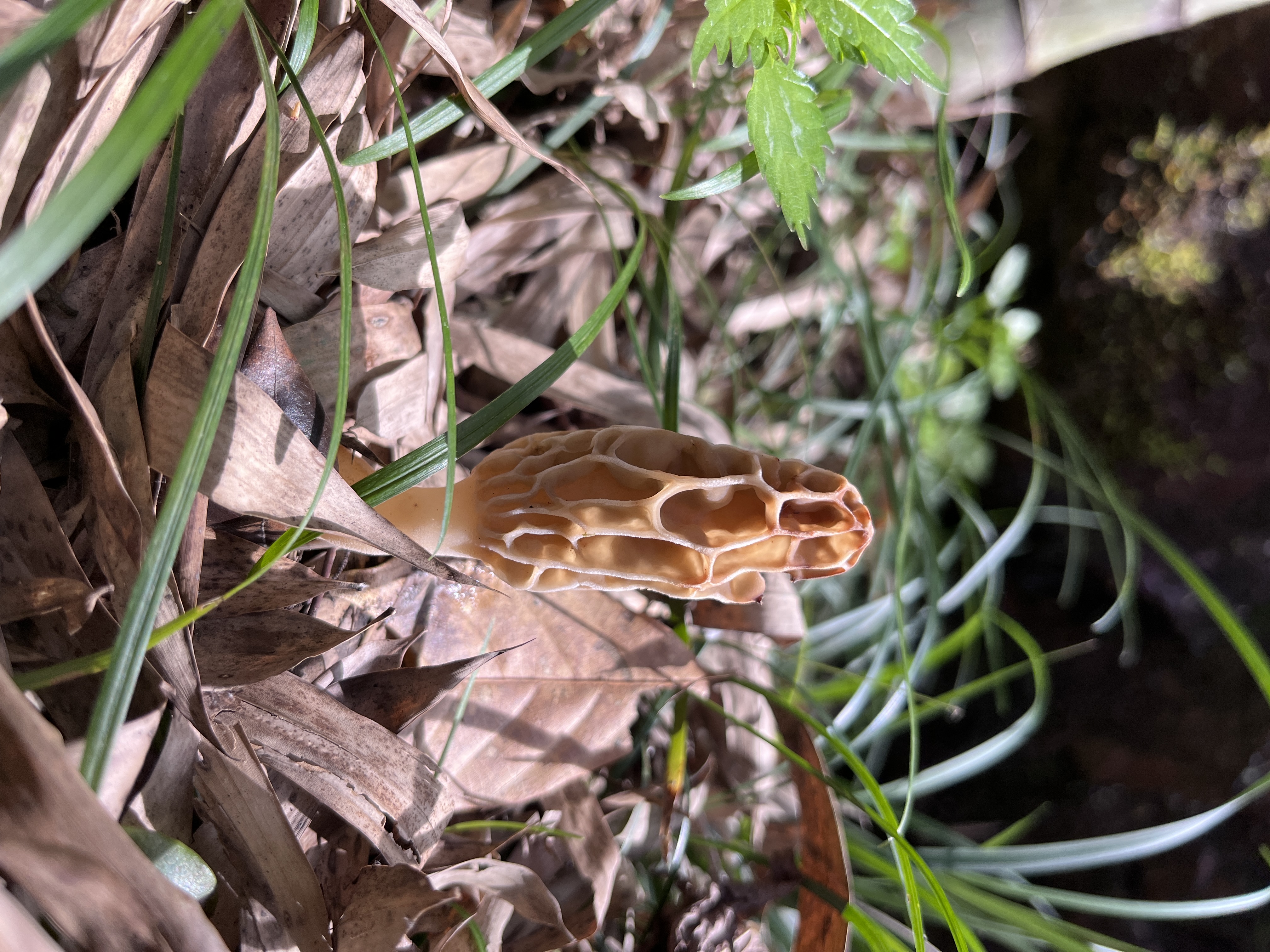 微信图片_202305101426504