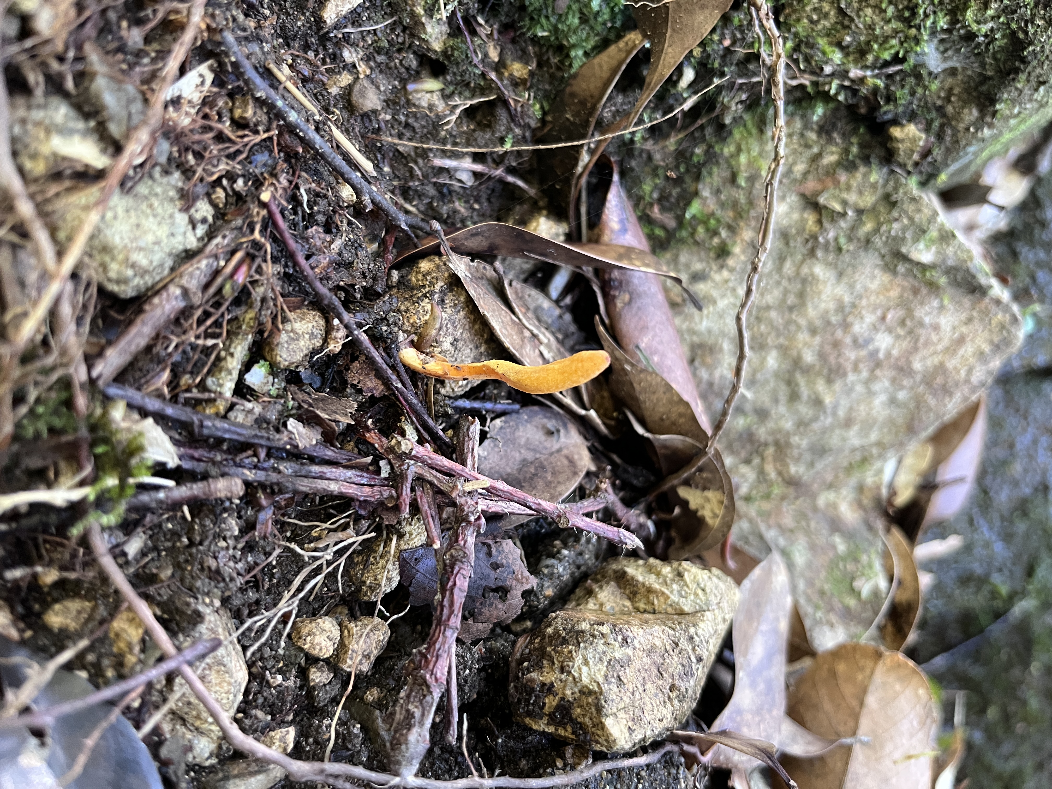 微信图片_202305101426509