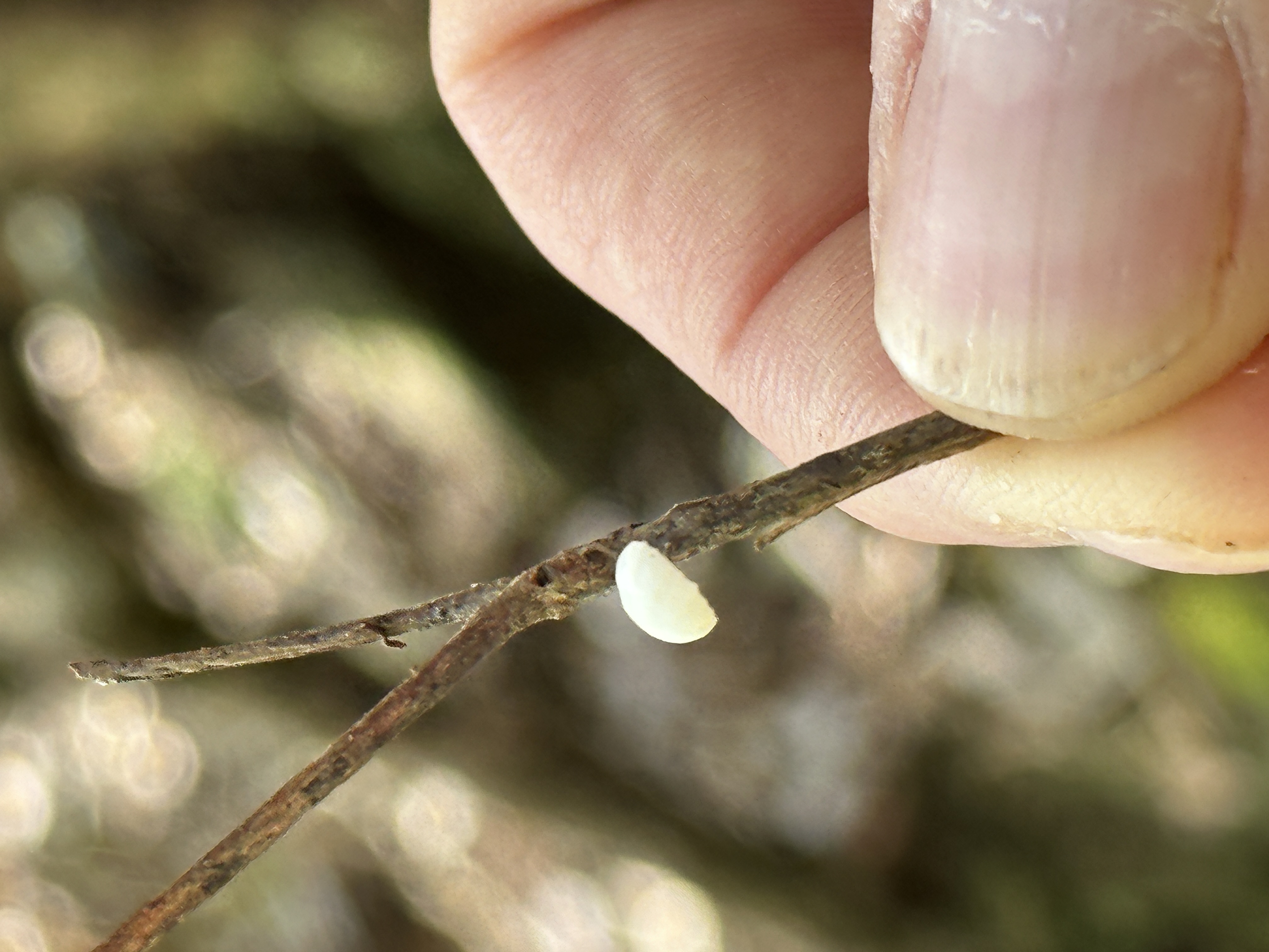 微信图片_20230510145520