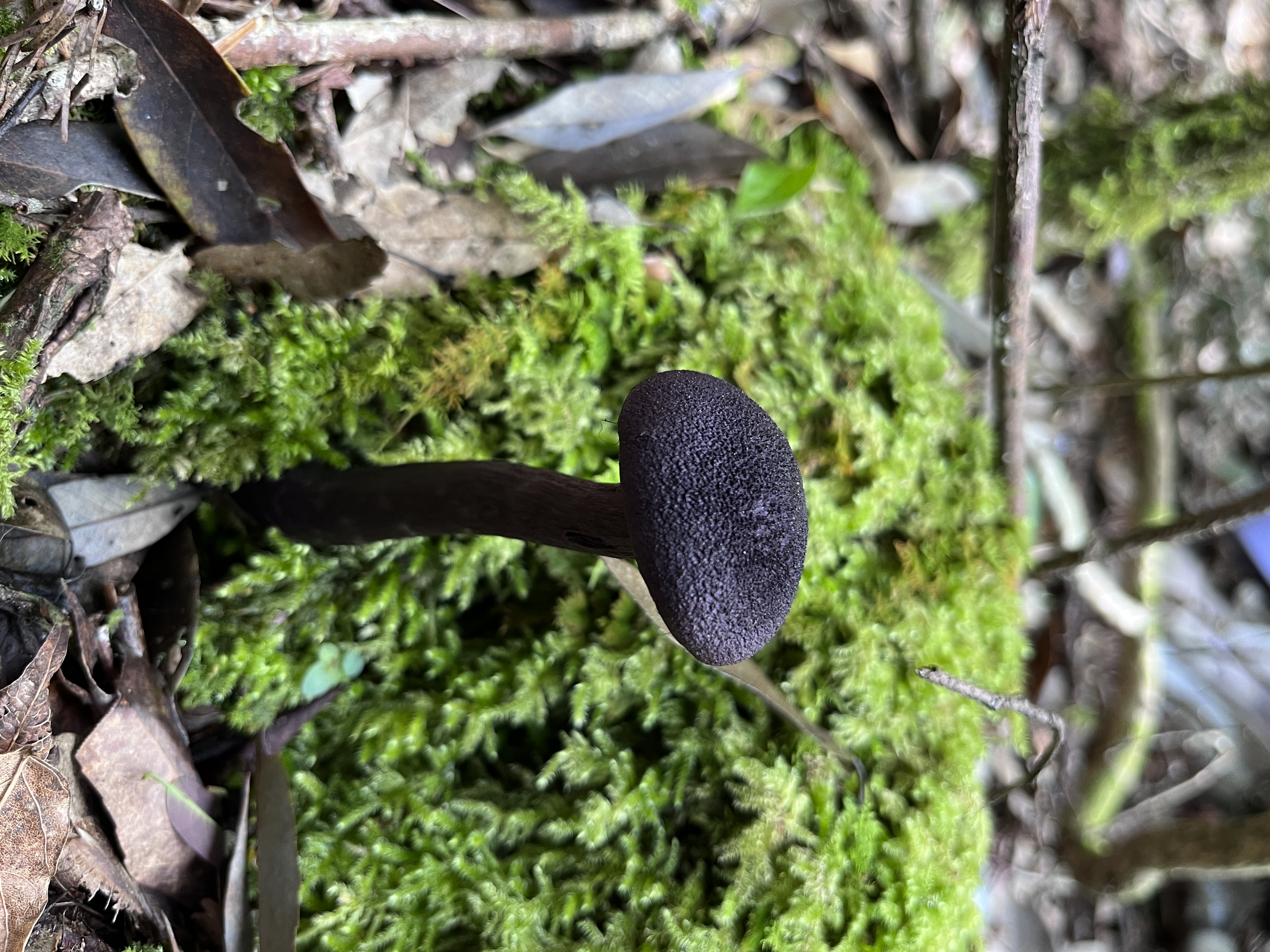 微信图片_202305101426506