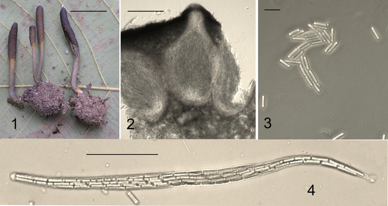 微信图片_20240111155744
