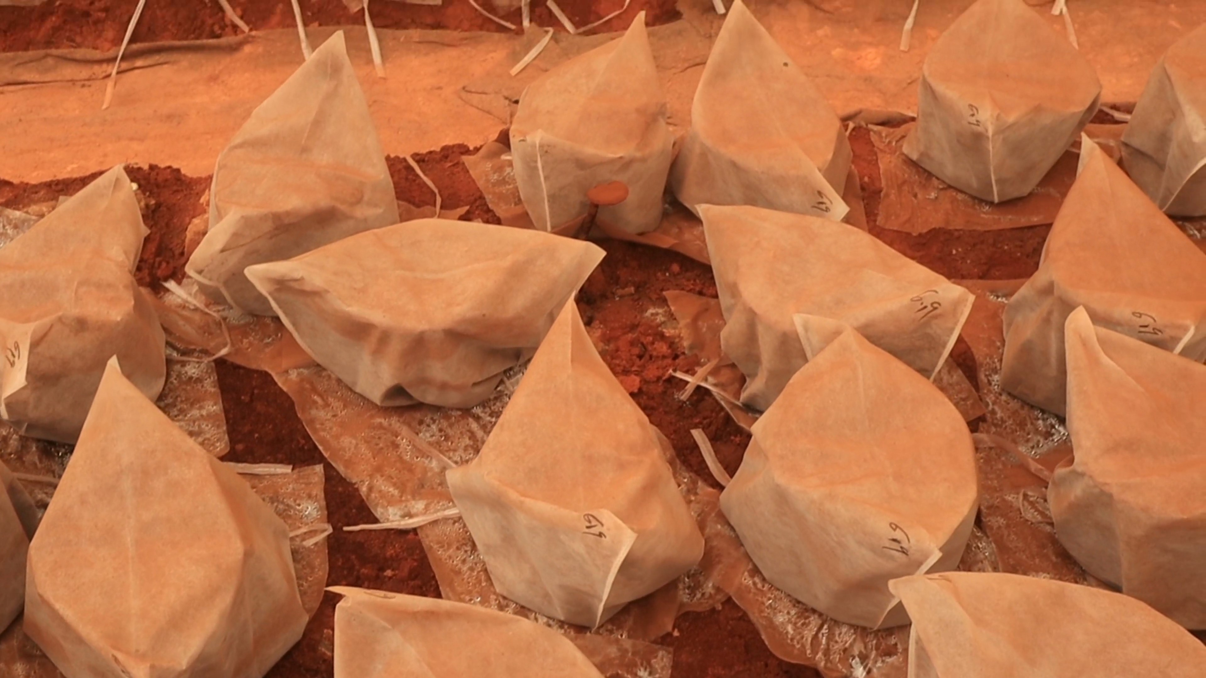 WeChat_20230824162232_Moment