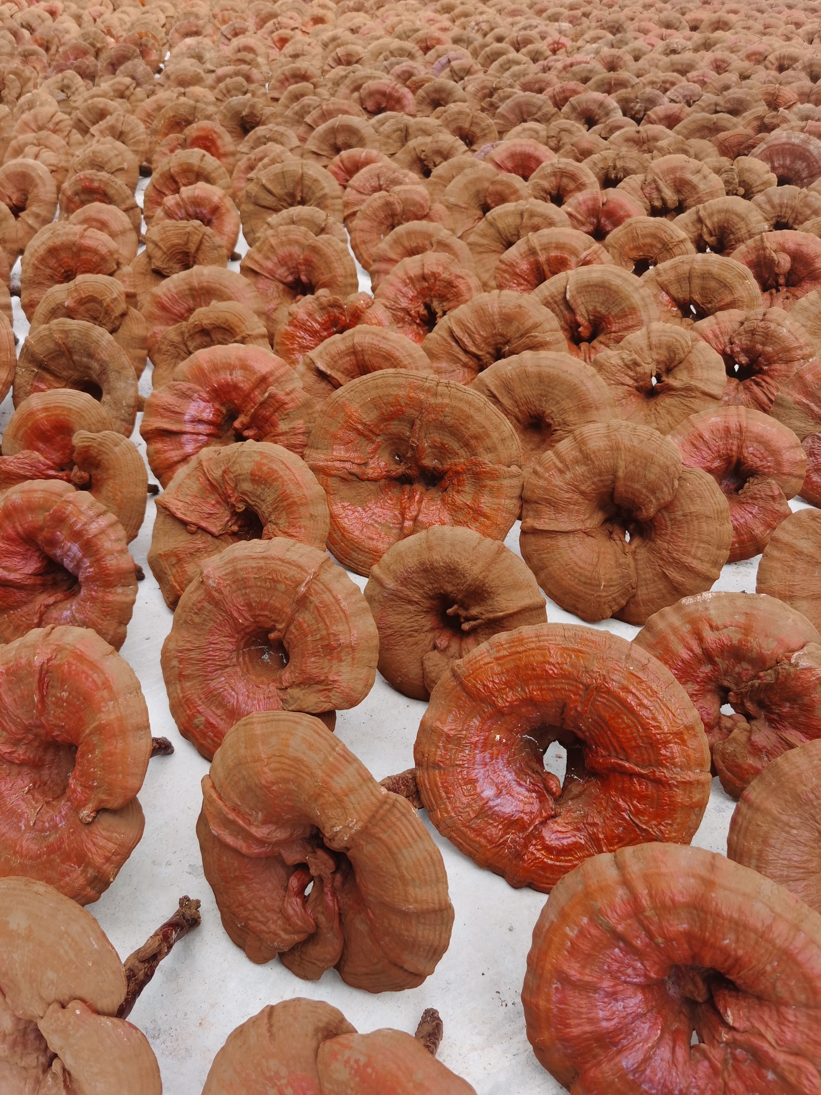 微信图片_20230823150133