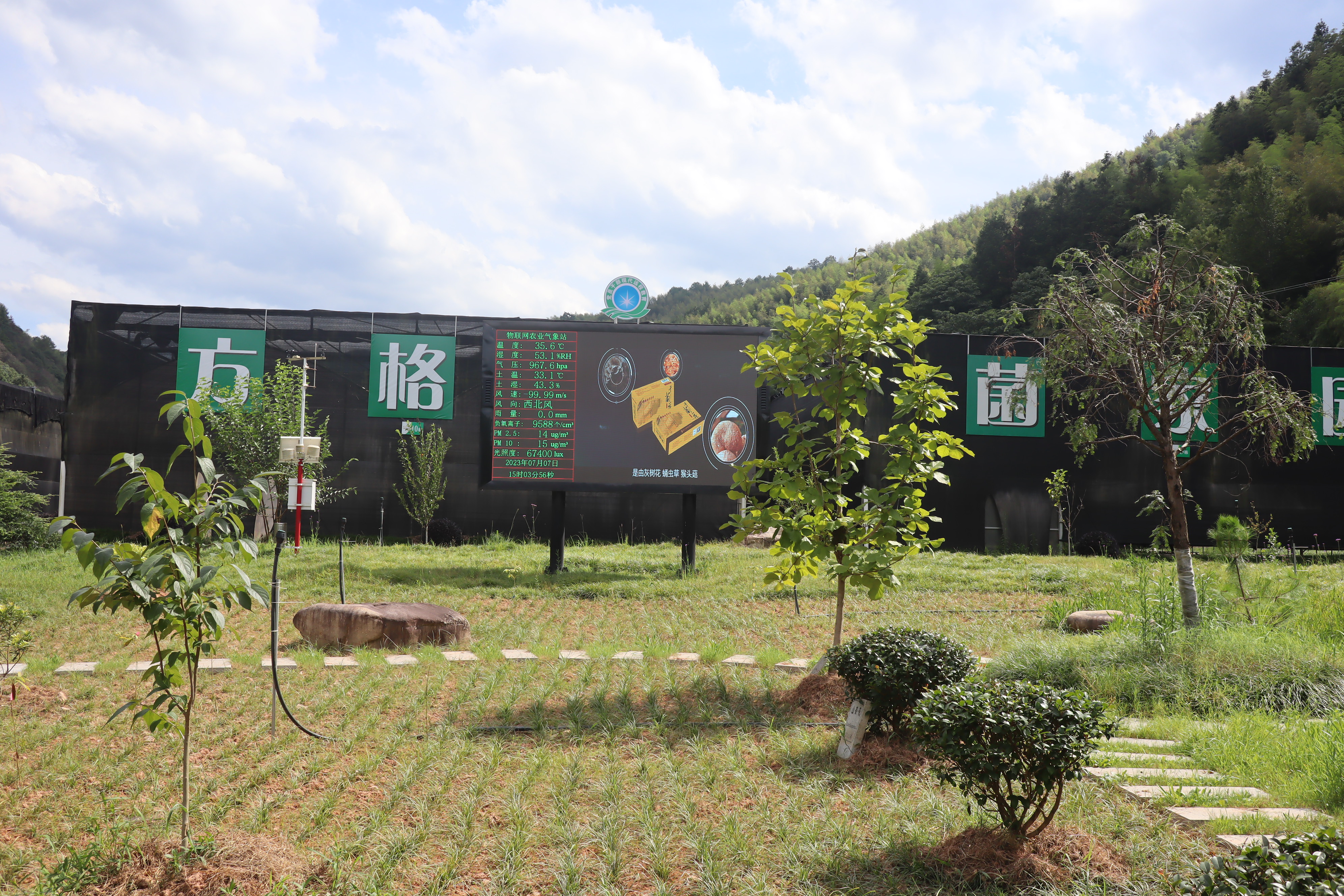 微信图片_20231101144806