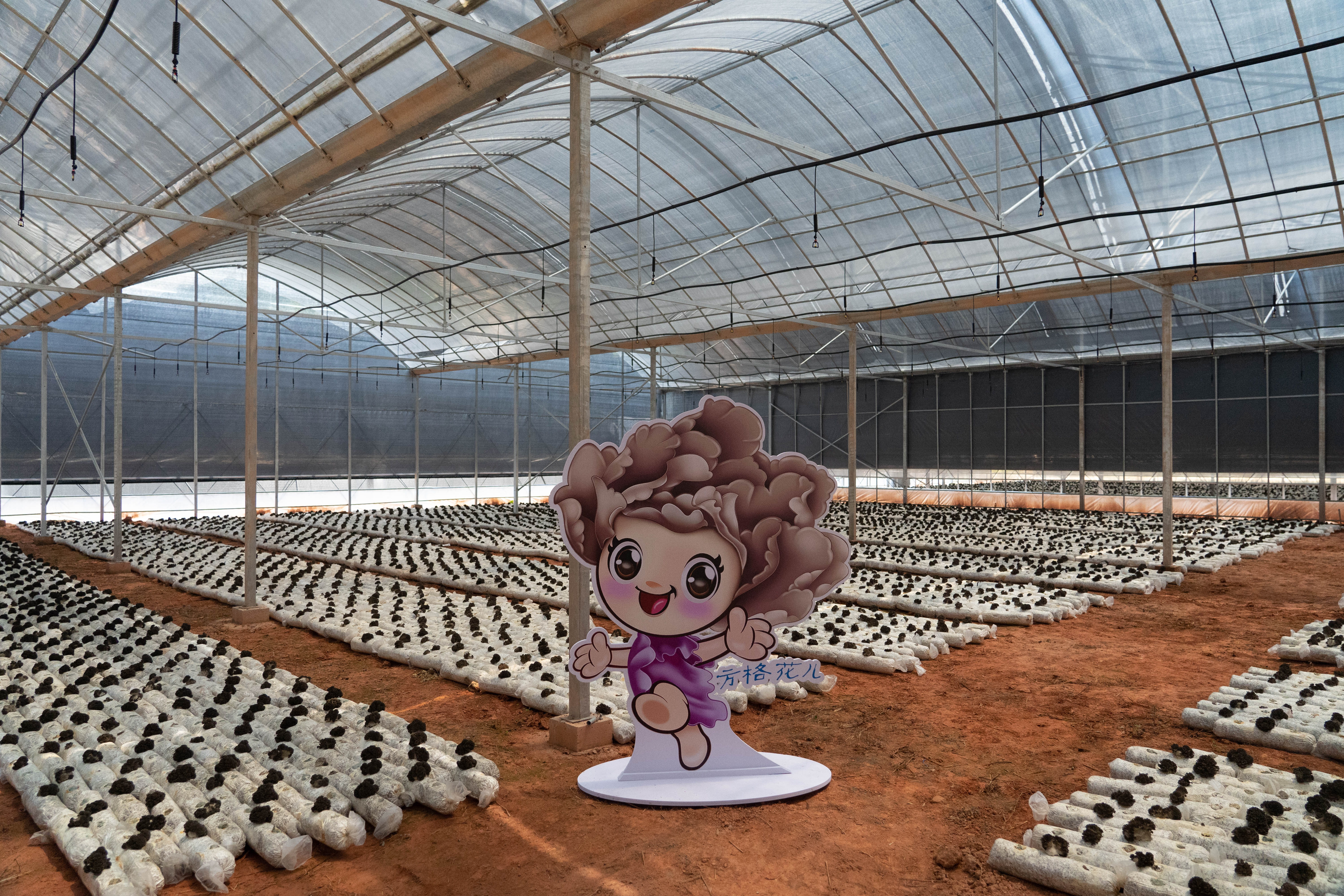 微信图片_20211122161721