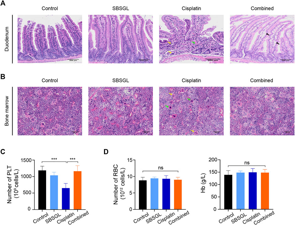 fphar-13-826716-g002
