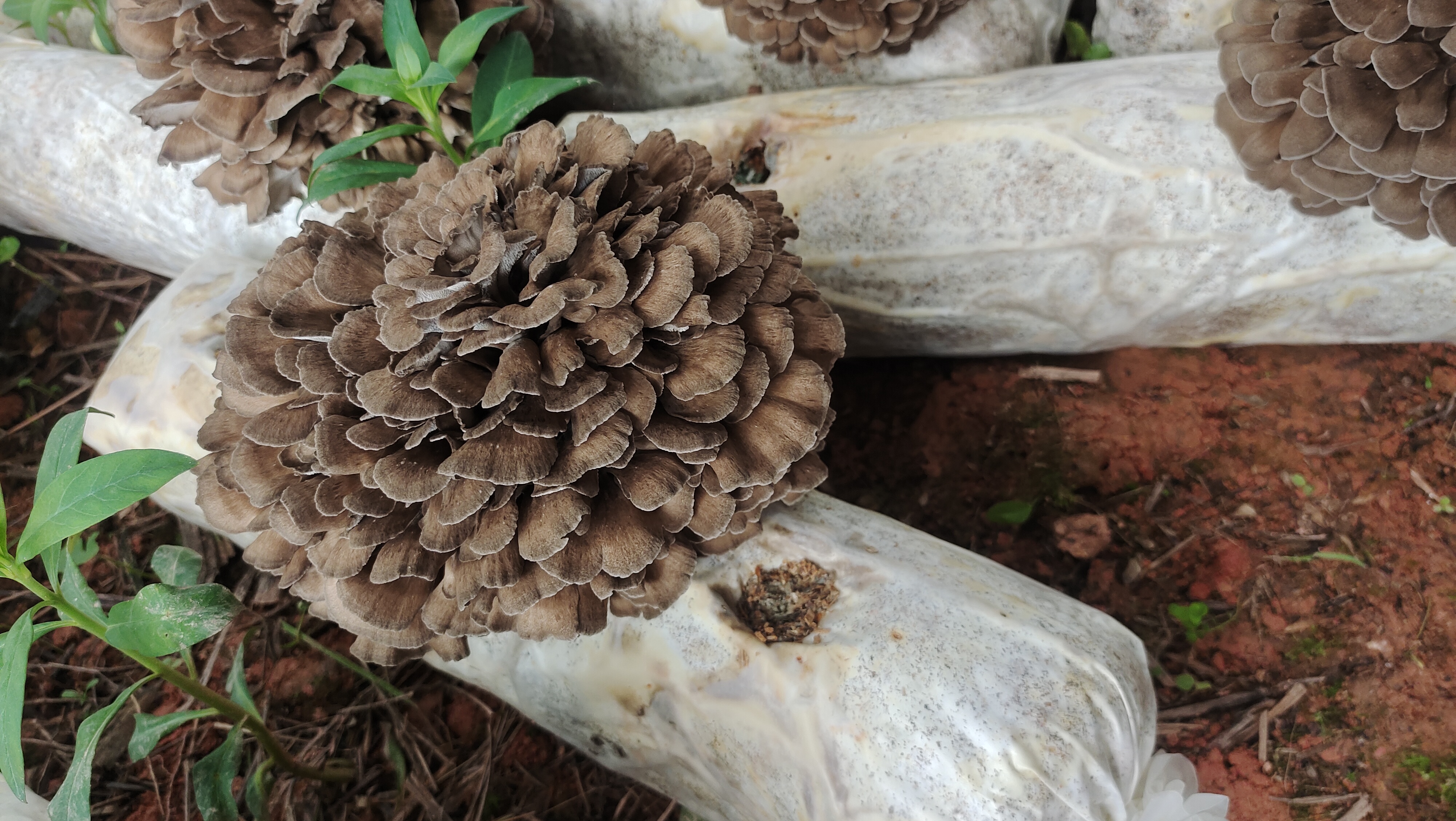 微信图片_20220506101235