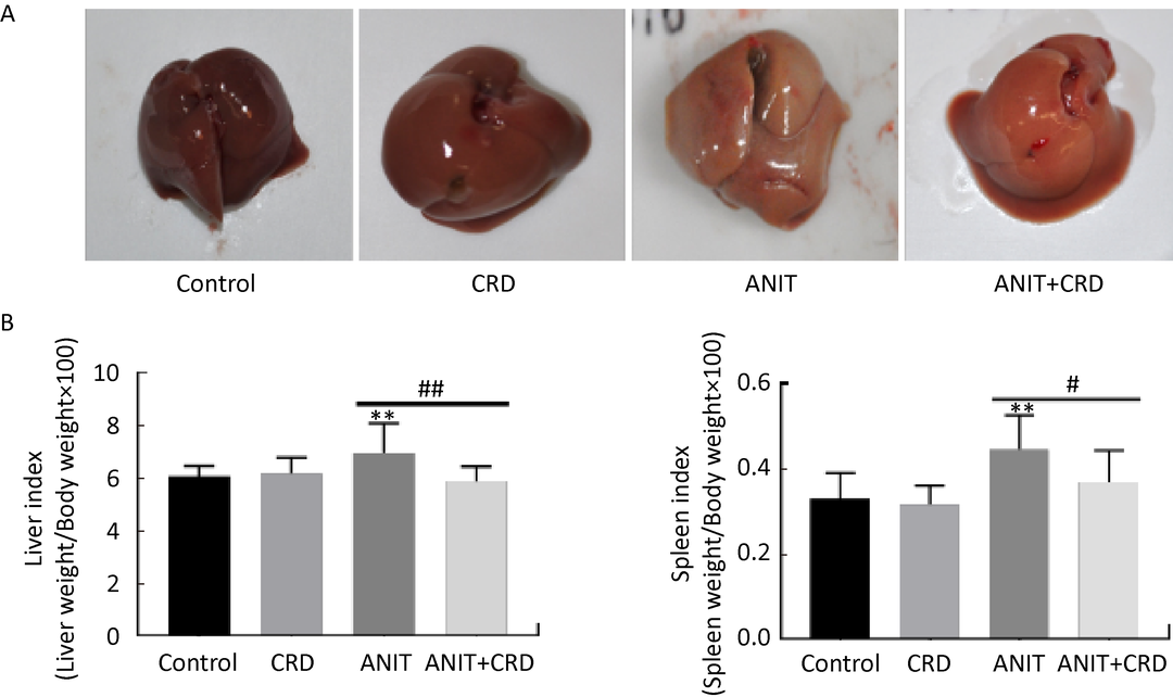 微信图片_20220427161907