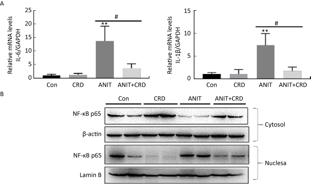 微信图片_20220427162641