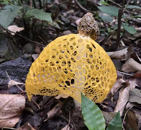 微信图片_20230414134002