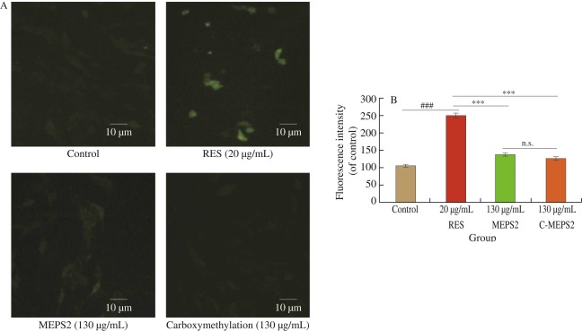 1-s2.0-S2213453023000617-gr6