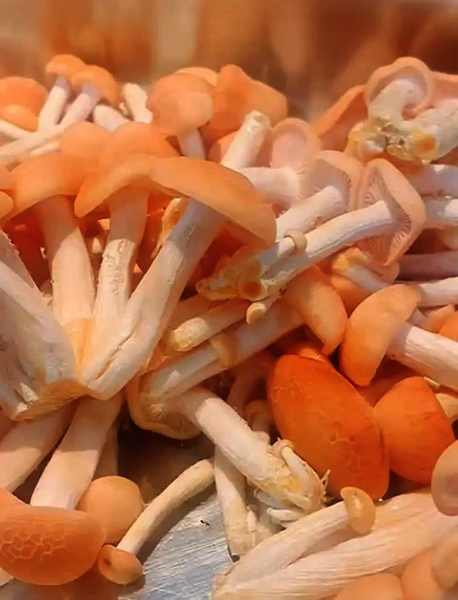 20230718091544190-36-e83ce