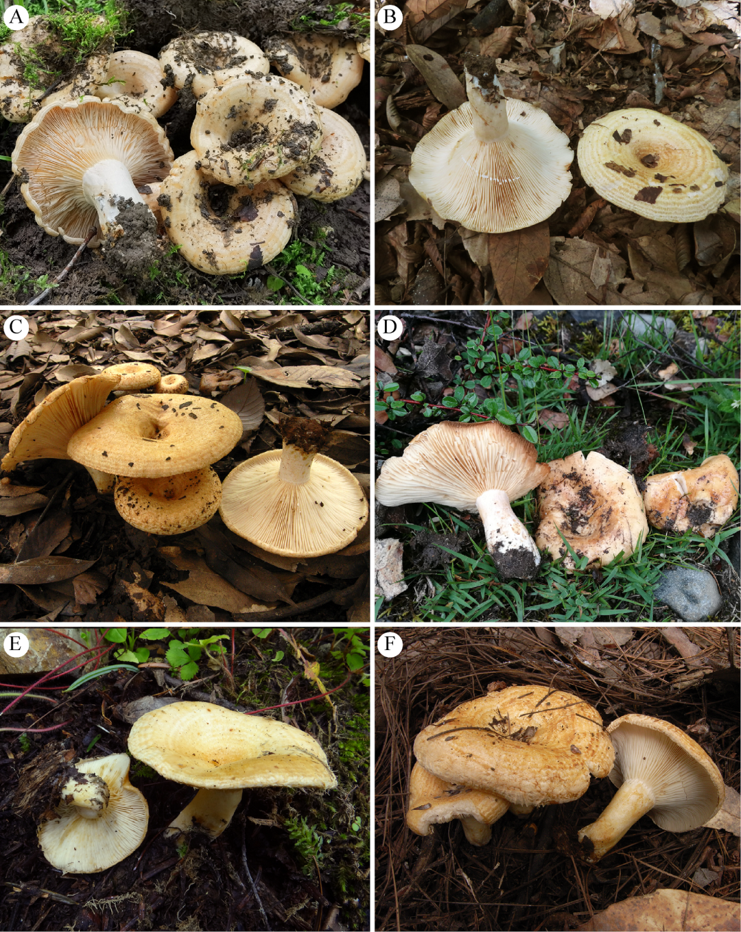 微信图片_20230214155253