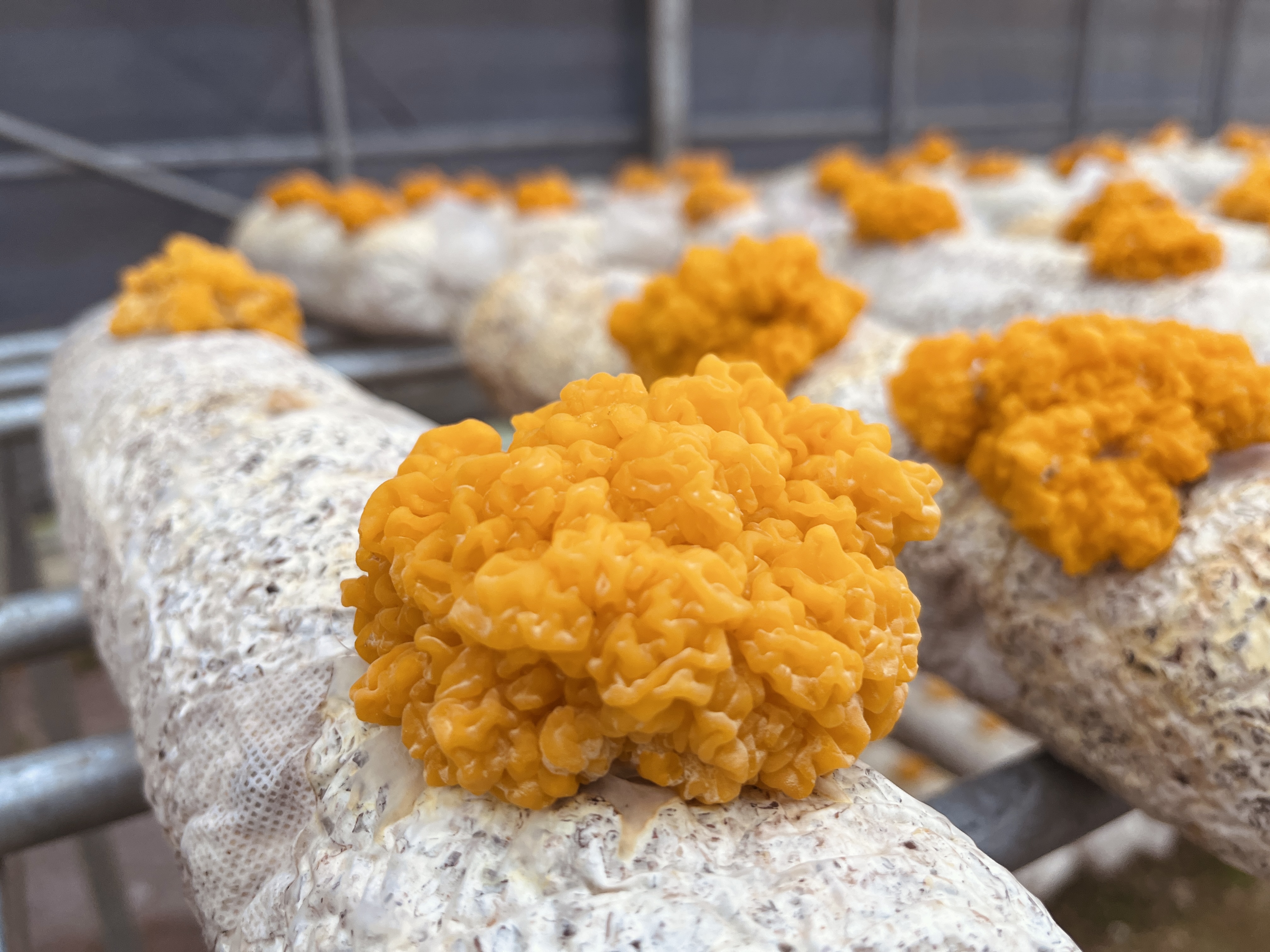 微信图片_202302240951441