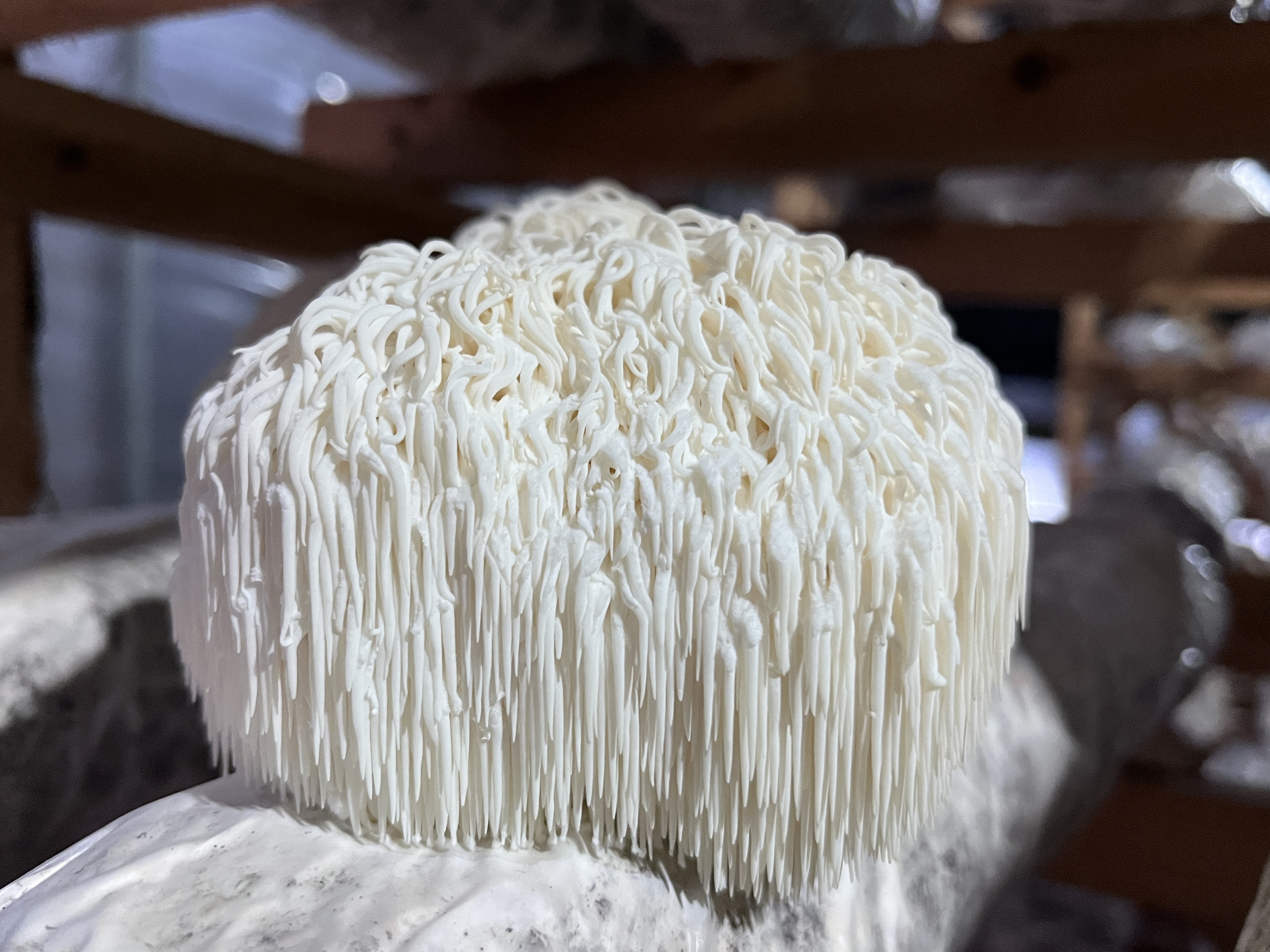 微信图片_202302240951432