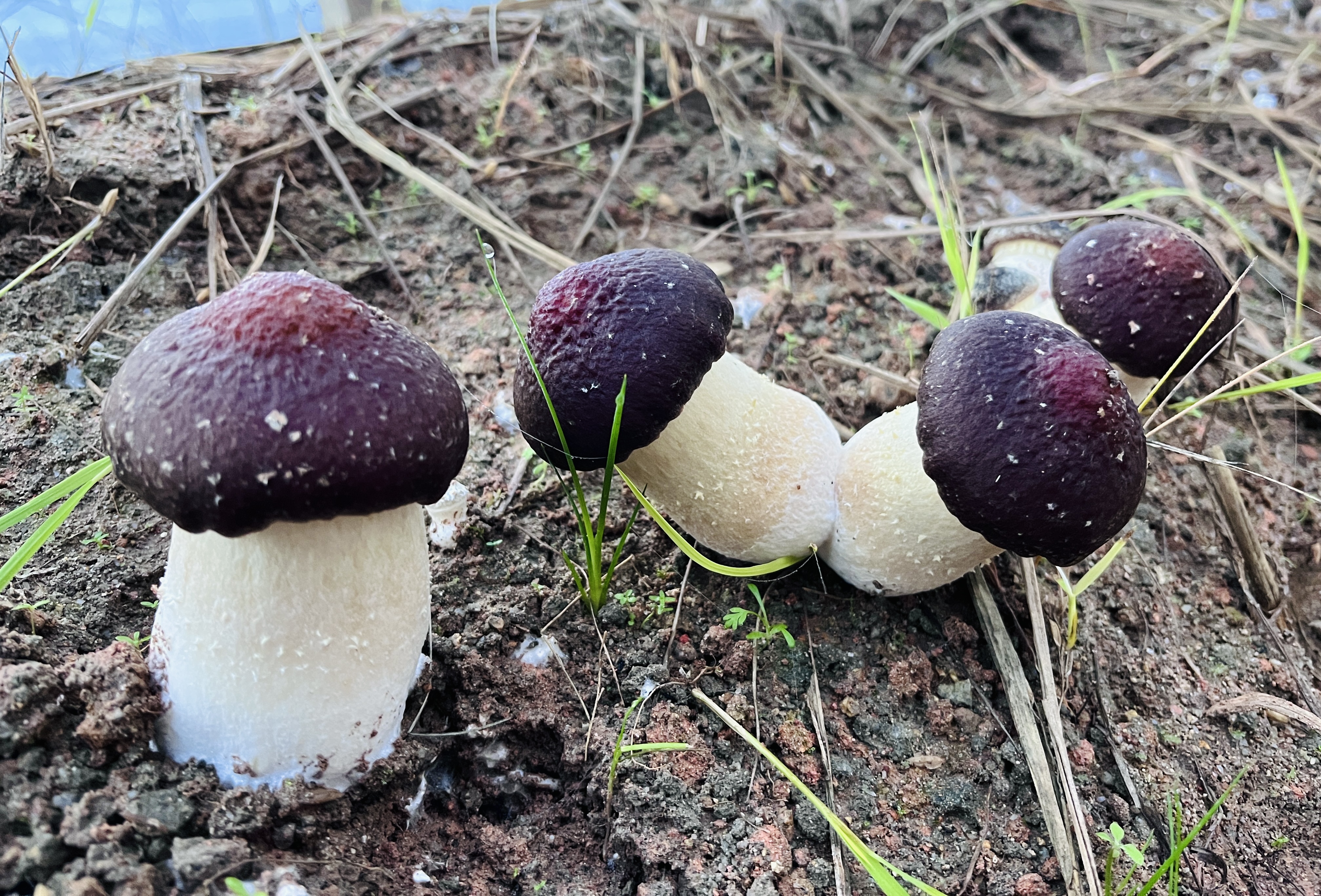 微信图片_2023022409514323