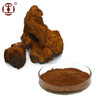 Chaga Extract Powder;Inonotus obliquus extract powder