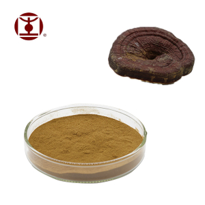 Organic Ganoderma Lucidum Extract Powder,Reishi Mushroom Extract Powder