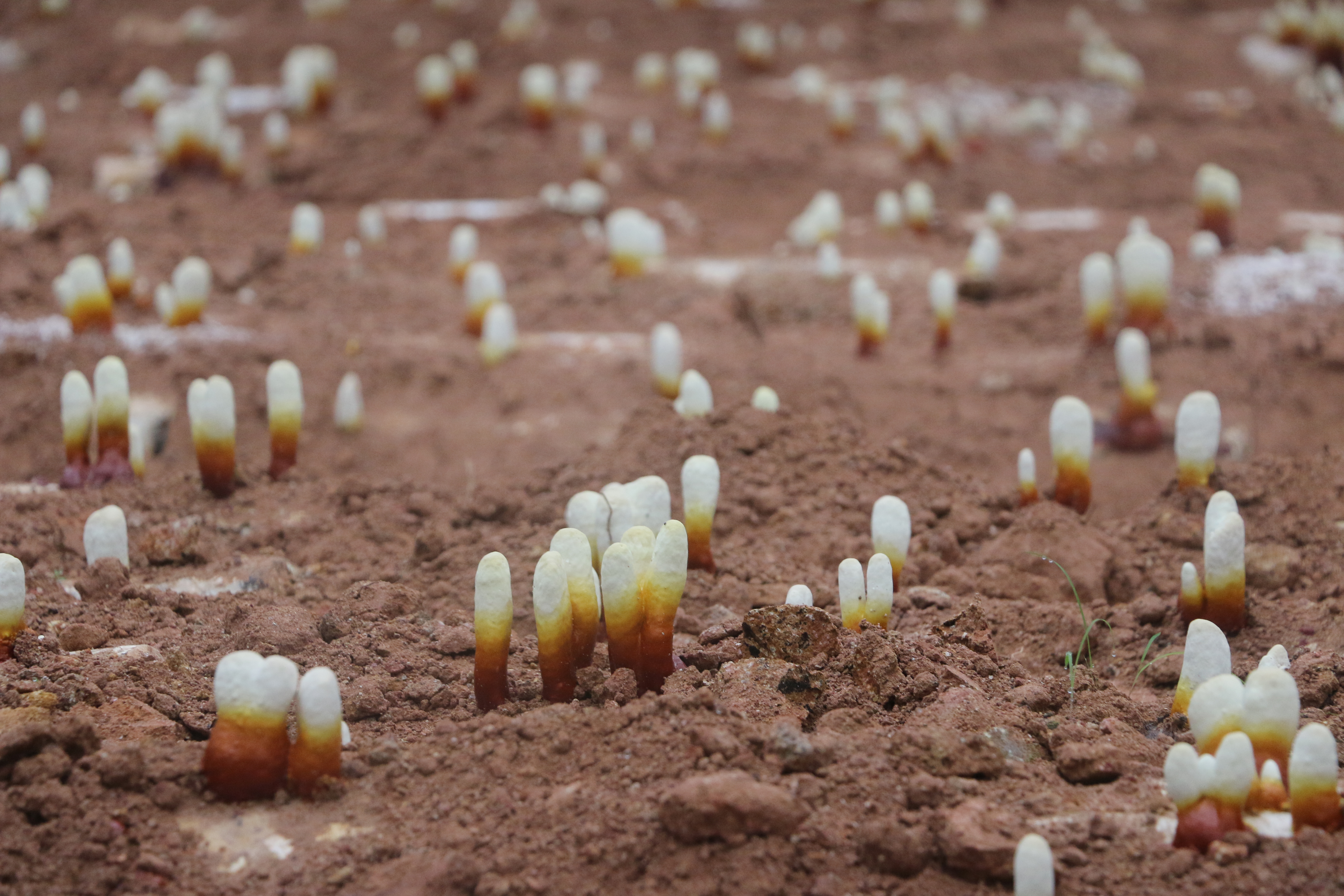 微信图片_20220509170810