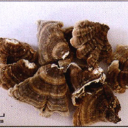 微信图片_20220707135531