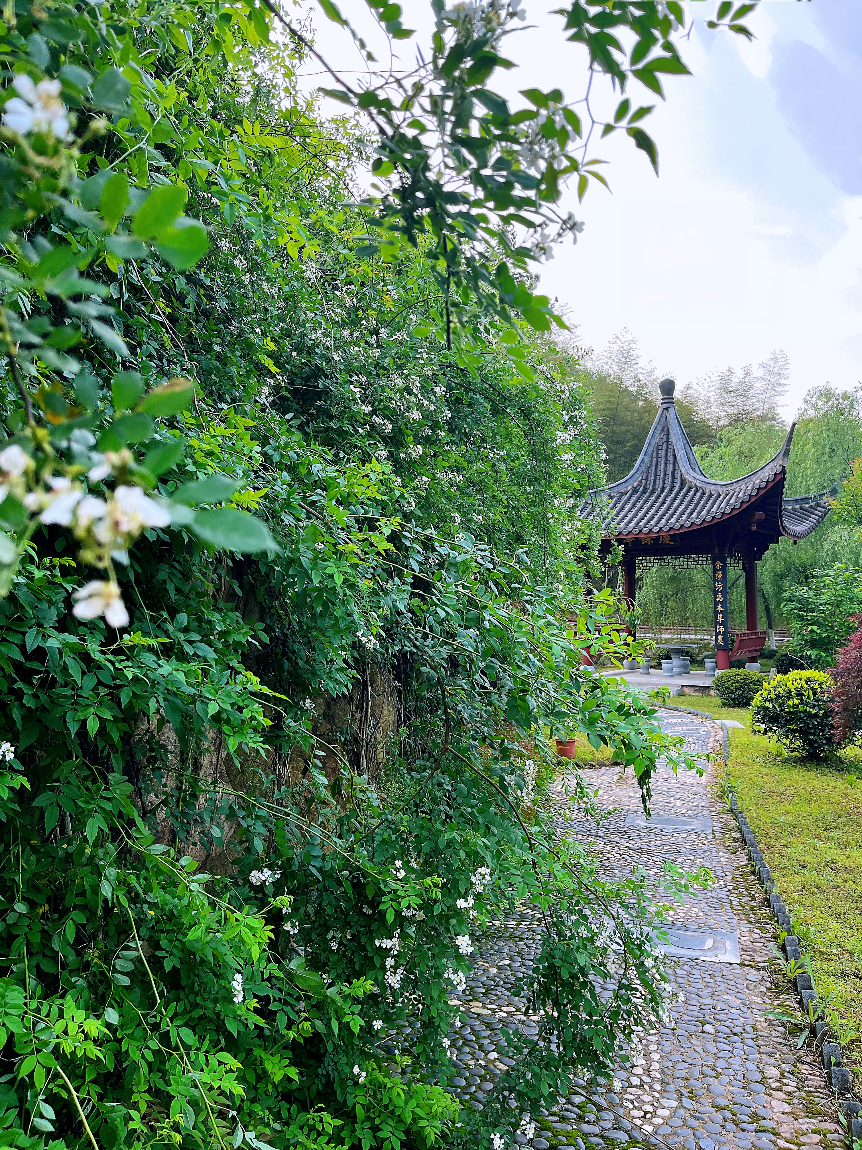 微信图片_20240416144527