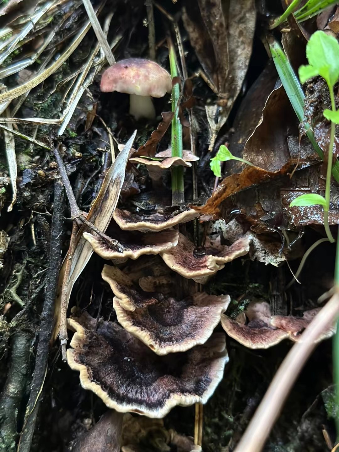 微信图片_20230510142650