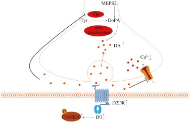 1-s2.0-S2213453023000617-gr8