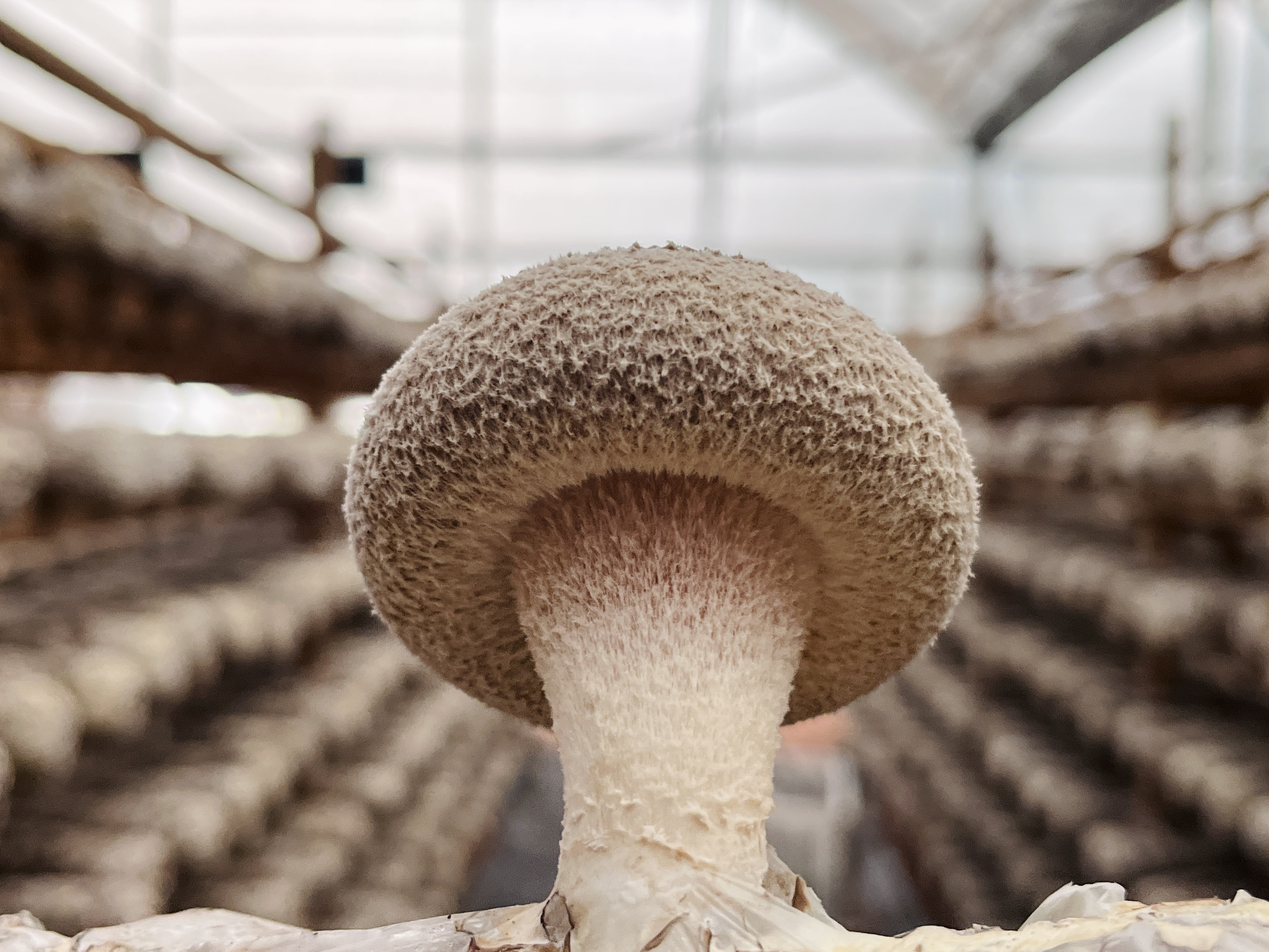 微信图片_2023022409514317