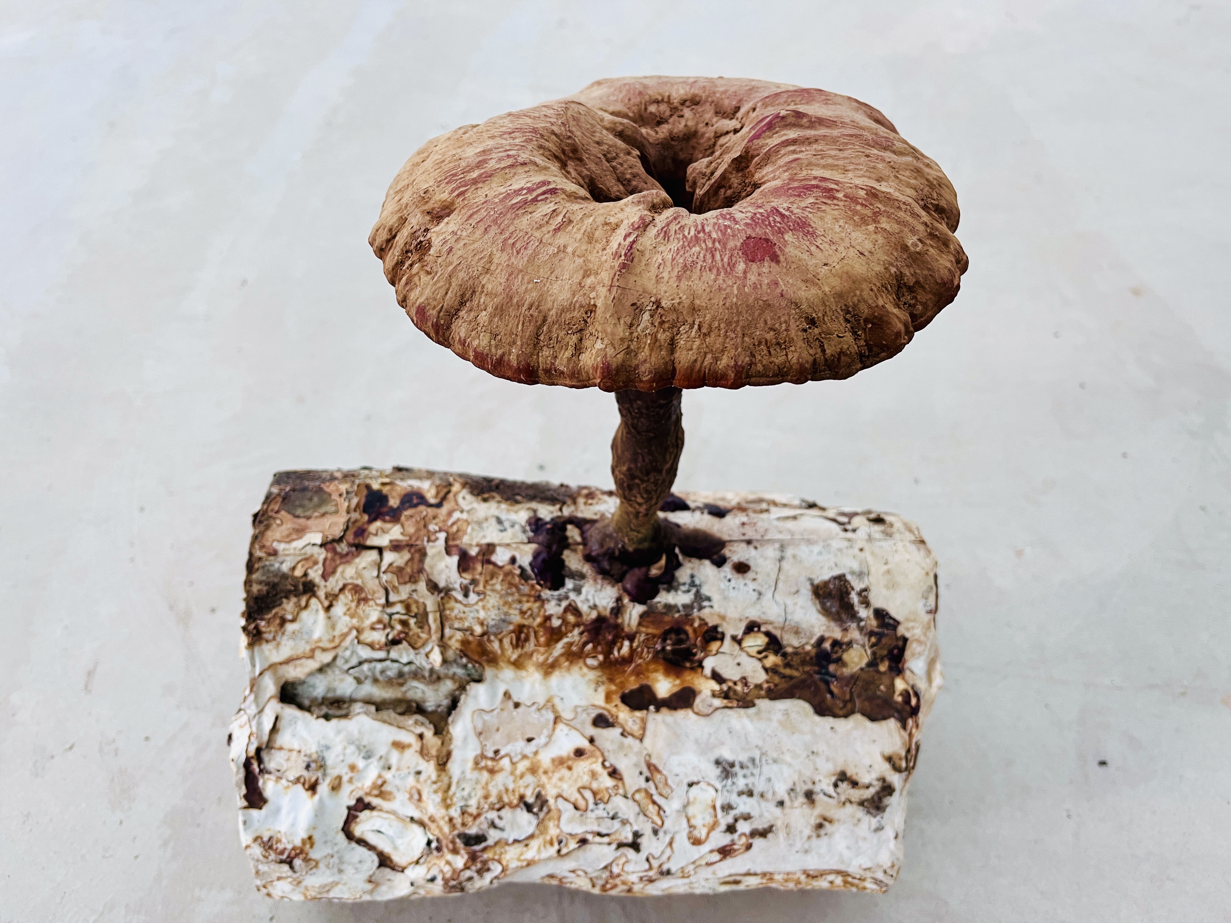 微信图片_2023022409514330