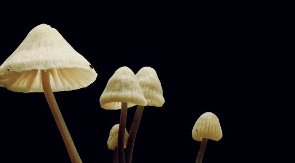 微信图片_20221202171827