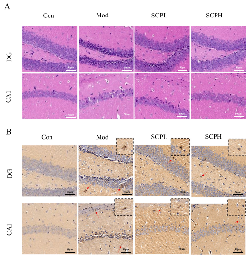 微信图片_20221228135851