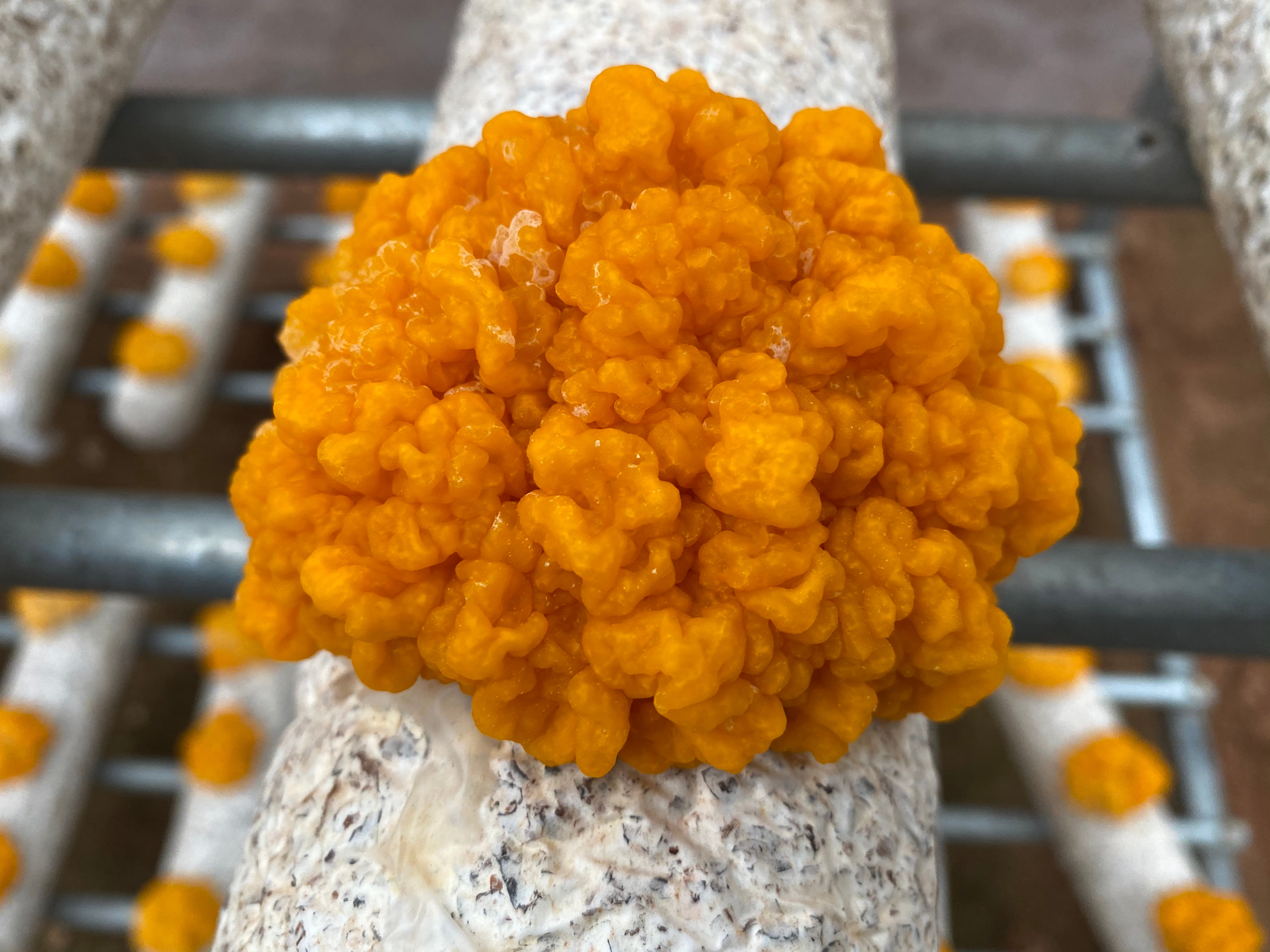 微信图片_202301111016073