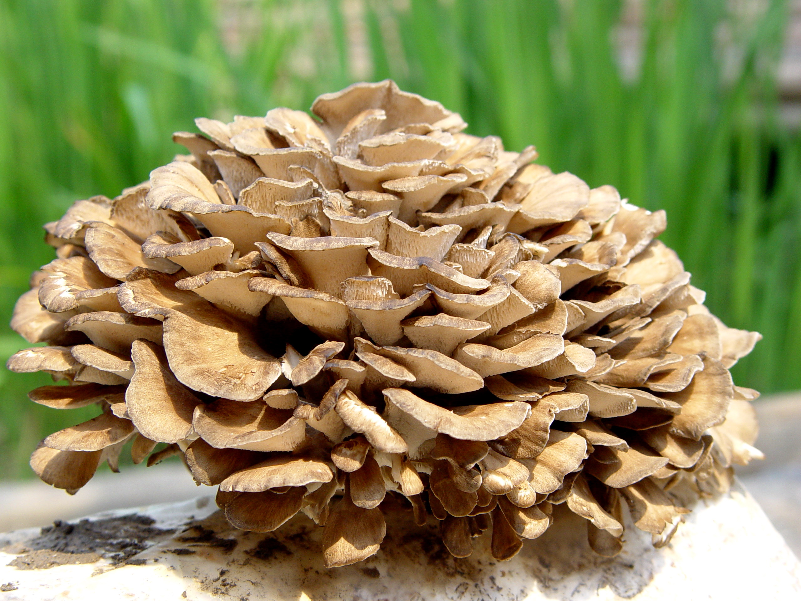 微信图片_202211091022273