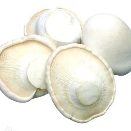 微信图片_20230329131711