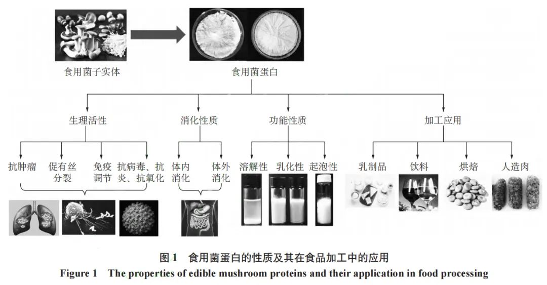 微信图片_20221214133005