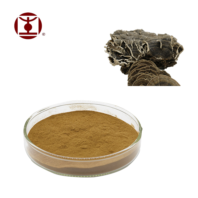 Turkey Tail Extract Powder;Coriolus Versicolor Extract Powder;Trametes versicolor extract powder