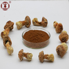 Agaricus Blazei Extract Powder