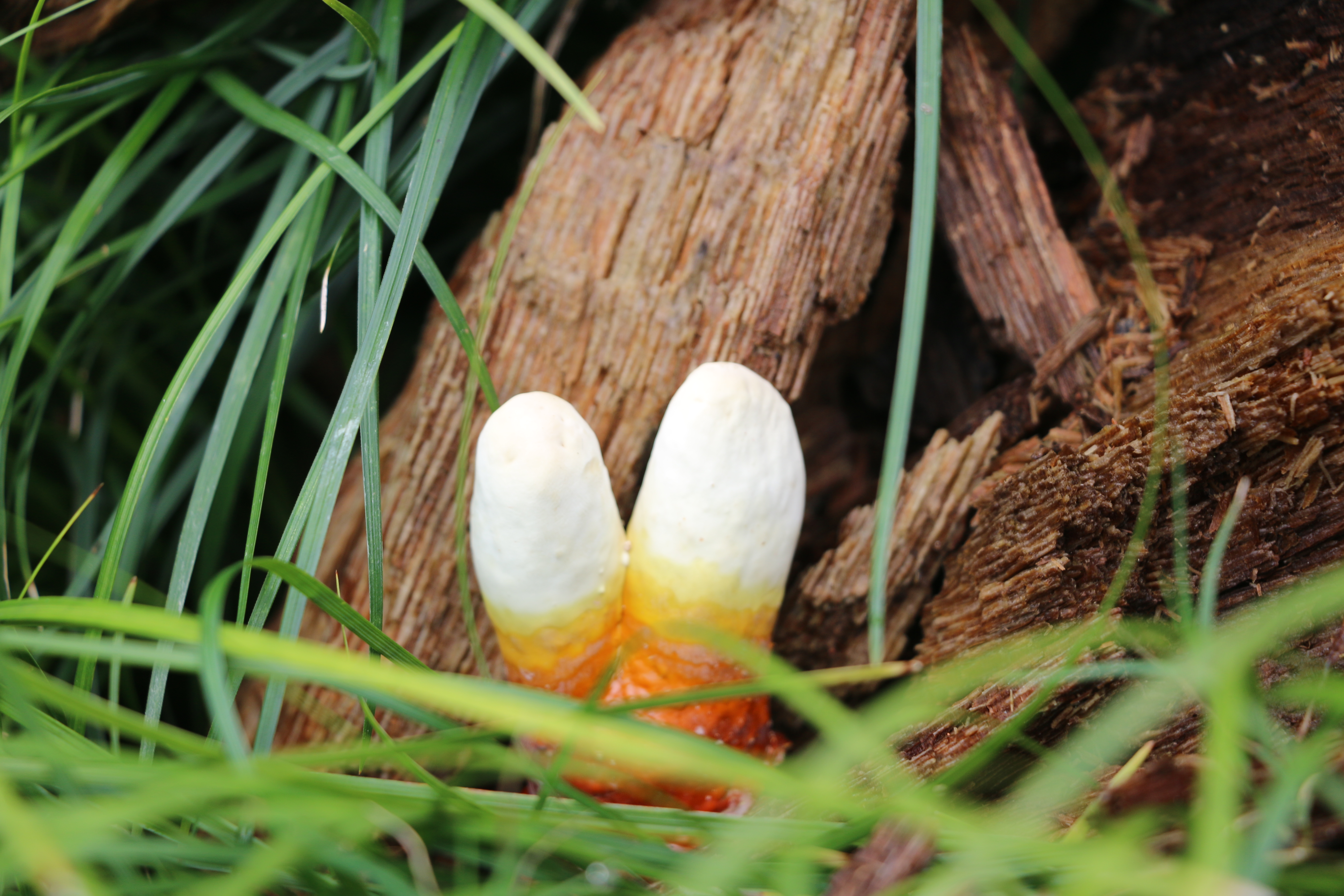 微信图片_20220509170108