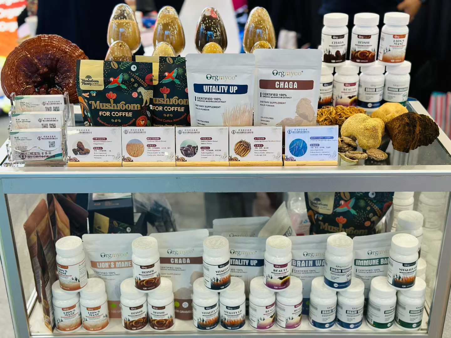 微信图片_2025-10-31_153655_160