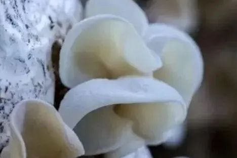 微信图片_20230303101316