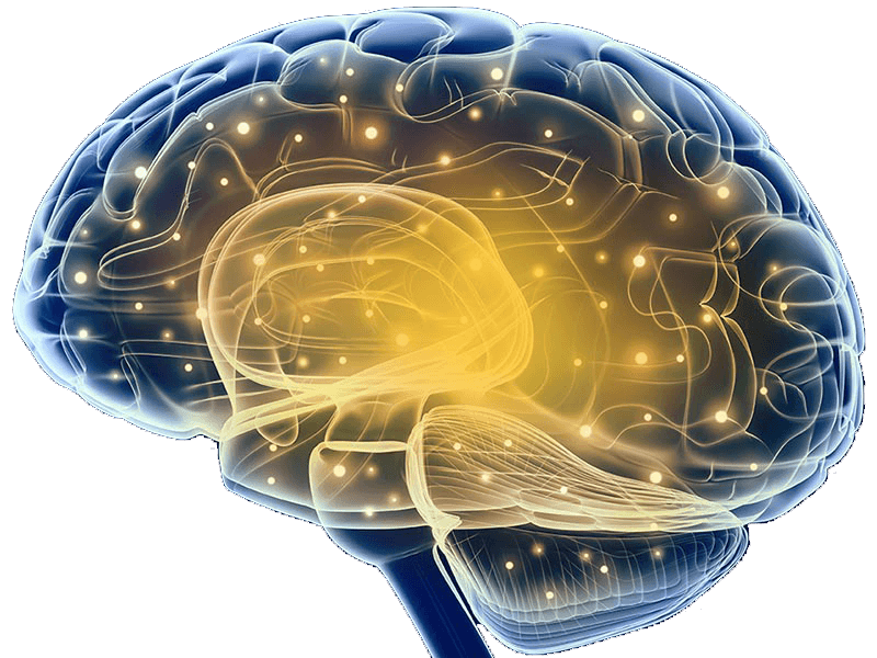 1613791515-d6f5bdbb298dd17