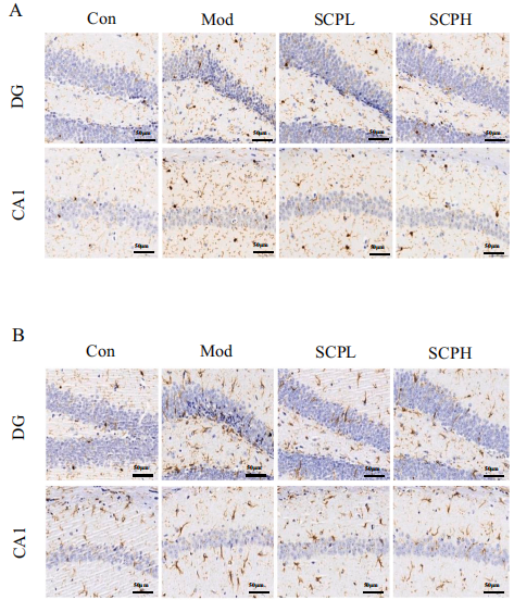 微信图片_20221228140156