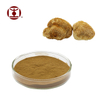 Organic Hericium Erinaceus Extract Powder,Lion's mane Extract powder