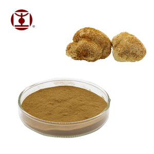 Organic Hericium Erinaceus Extract Powder,Lion's mane Extract powder