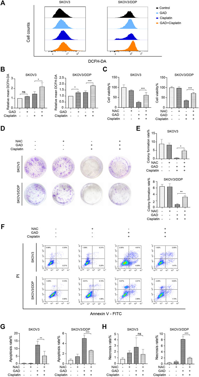 fphar-13-826716-g004